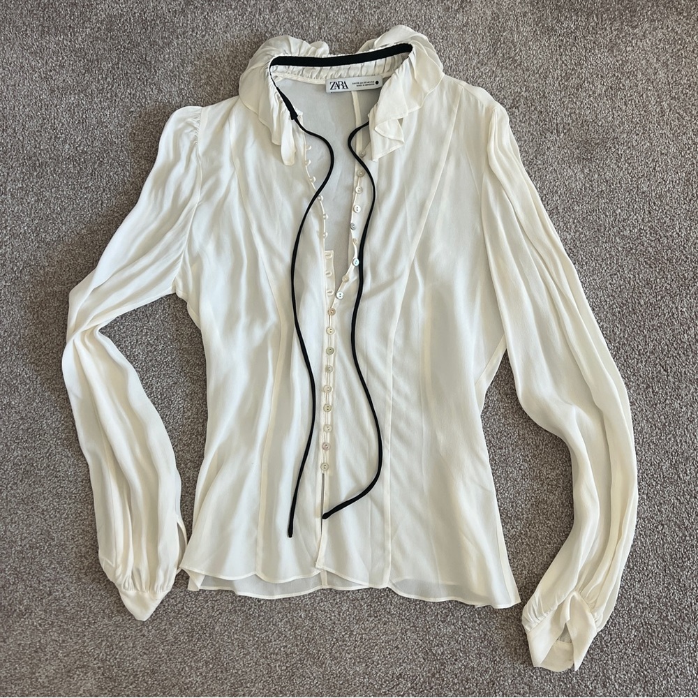 Zara sheer blouse